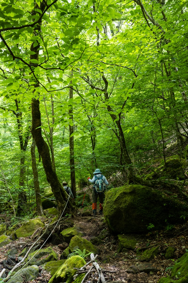 Discover the Joy of Hiking: Embrace Nature and Adventure