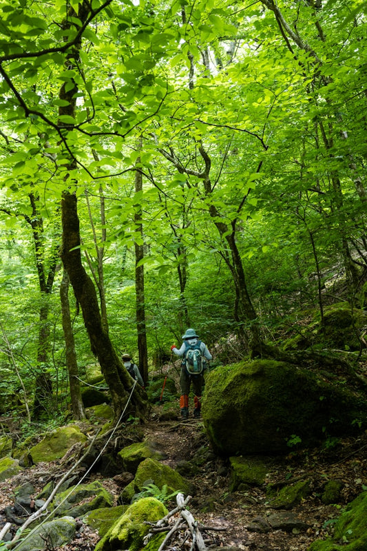 Discover the Joy of Hiking: Embrace Nature and Adventure